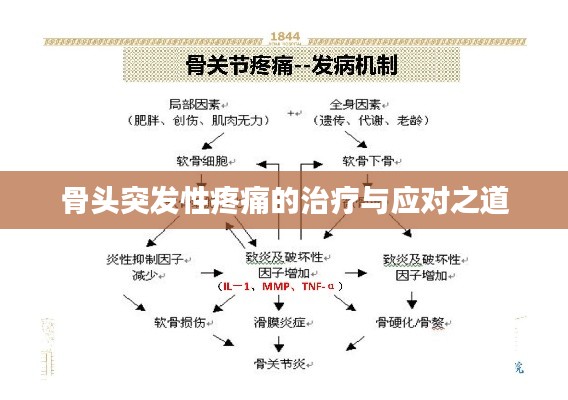 骨头突发性疼痛的治疗与应对之道