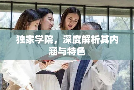 独家学院,深度解析其内涵与特色