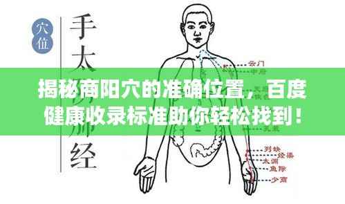 揭秘商阳穴的准确位置，百度健康收录标准助你轻松找到！