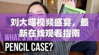 刘大喵视频盛宴，最新在线观看指南