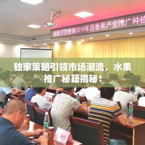 独家策略引领市场潮流，水果推广秘籍揭秘！