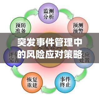 突发事件管理中的风险应对策略，全面解析风险与应对策略之道