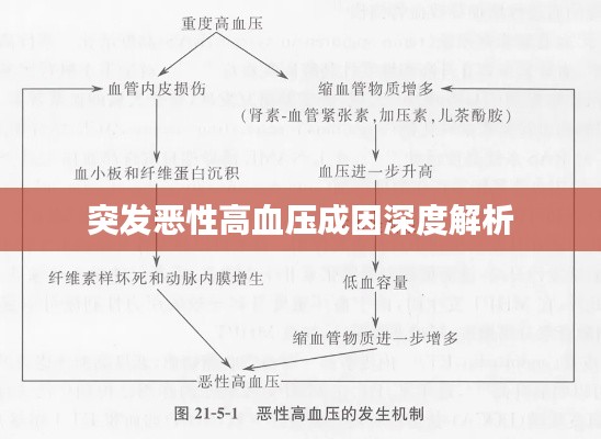 飞鸟依人 第4页