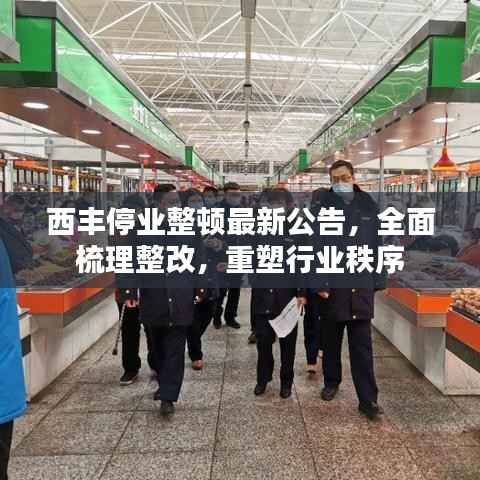西丰停业整顿最新公告，全面梳理整改，重塑行业秩序