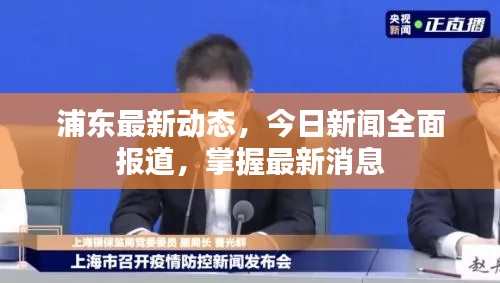 浦东最新动态，今日新闻全面报道，掌握最新消息