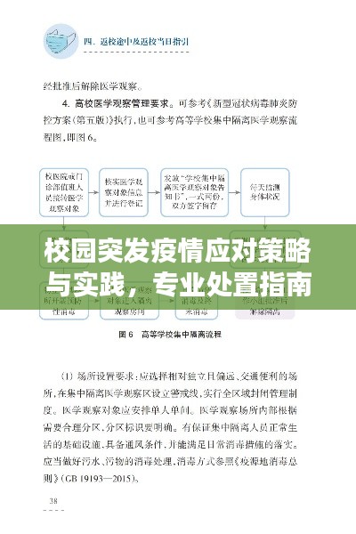 校园突发疫情应对策略与实践，专业处置指南
