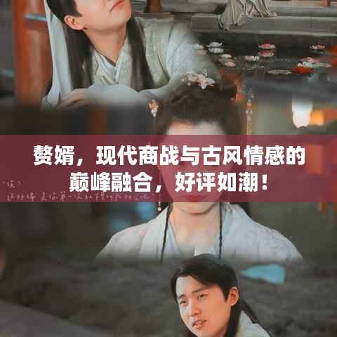 赘婿，现代商战与古风情感的巅峰融合，好评如潮！