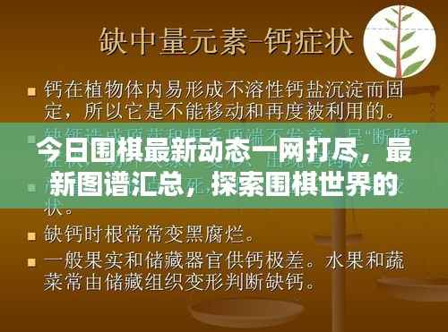 今日围棋最新动态一网打尽,最新图谱汇总,探索围棋世界的最前沿