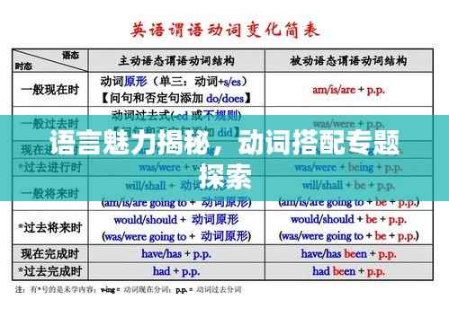 语言魅力揭秘，动词搭配专题探索