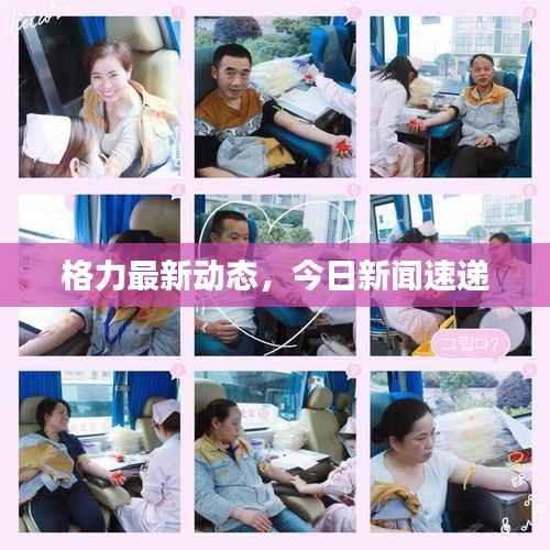 格力最新动态，今日新闻速递