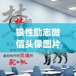 狼性励志微信头像图片，勇往直前，追逐无限可能梦想的力量