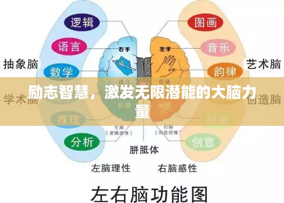 励志智慧，激发无限潜能的大脑力量