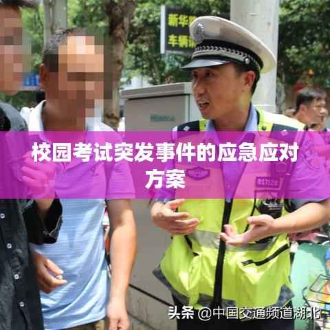校园考试突发事件的应急应对方案