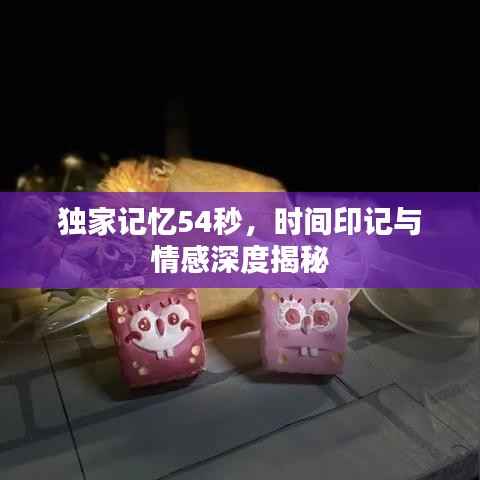 独家记忆54秒,时间印记与情感深度揭秘