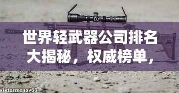 世界轻武器公司排名大揭秘，权威榜单，引领行业风向标！
