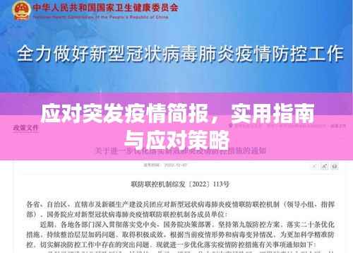 应对突发疫情简报，实用指南与应对策略