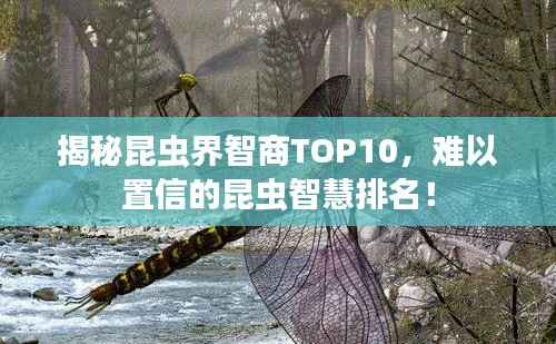 揭秘昆虫界智商TOP10，难以置信的昆虫智慧排名！