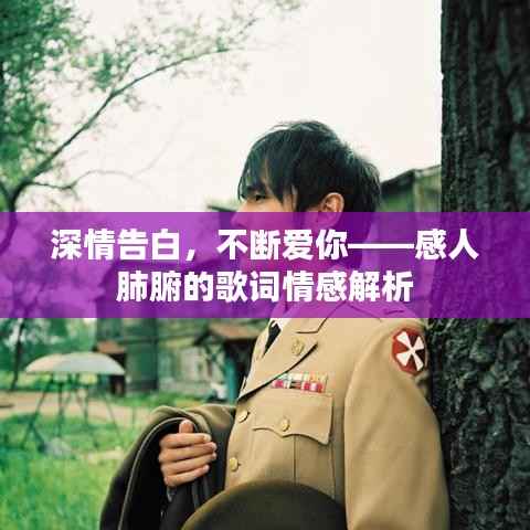 深情告白,不断爱你——感人肺腑的歌词情感解析