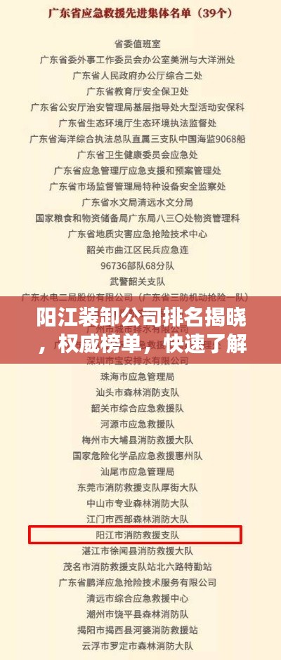 阳江装卸公司排名揭晓，权威榜单，快速了解一流企业！