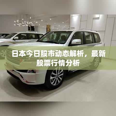 日本今日股市动态解析，最新股票行情分析