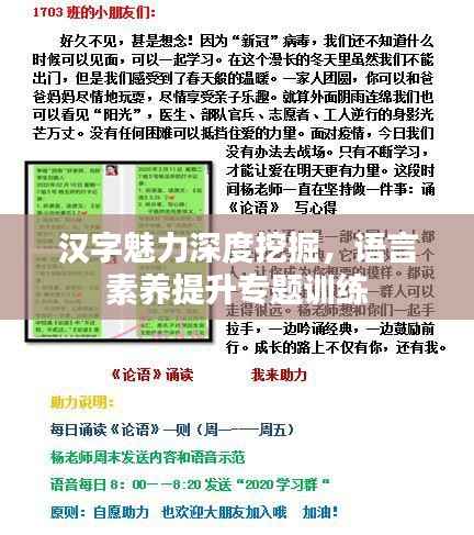 汉字魅力深度挖掘，语言素养提升专题训练