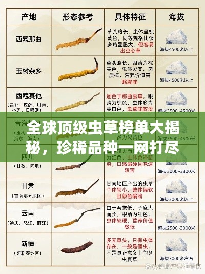 全球顶级虫草榜单大揭秘，珍稀品种一网打尽！