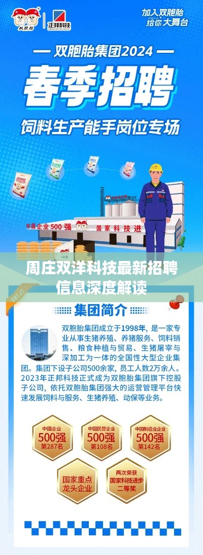 周庄双洋科技最新招聘信息深度解读