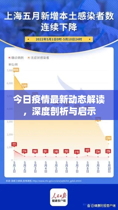 今日疫情最新动态解读，深度剖析与启示