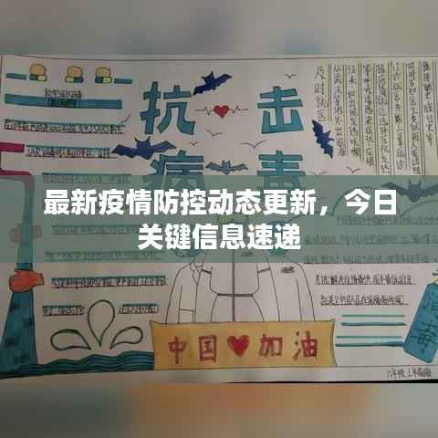 最新疫情防控动态更新，今日关键信息速递