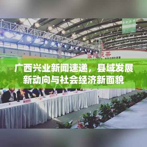 广西兴业新闻速递，县域发展新动向与社会经济新面貌