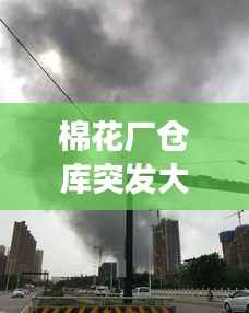 棉花厂仓库突发大火现场实录，紧急救援与事件回顾