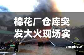 棉花厂仓库突发大火现场实录,紧急救援与事件回顾