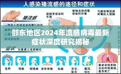 邵东地区2024年流感病毒最新症状深度研究揭秘